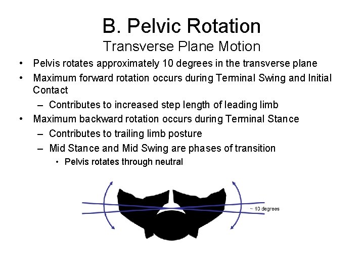B. Pelvic Rotation Transverse Plane Motion • Pelvis rotates approximately 10 degrees in the