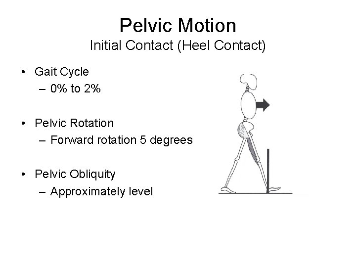 Pelvic Motion Initial Contact (Heel Contact) • Gait Cycle – 0% to 2% •