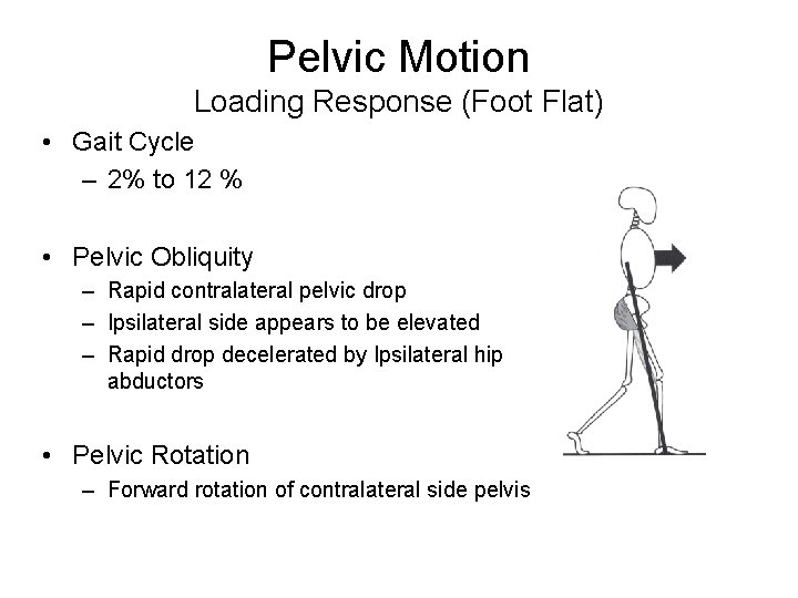 Pelvic Motion Loading Response (Foot Flat) • Gait Cycle – 2% to 12 %