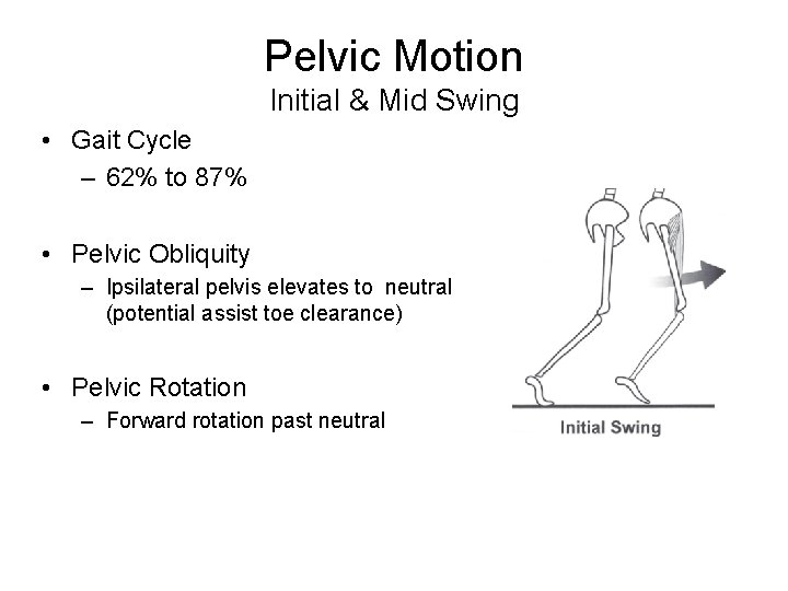 Pelvic Motion Initial & Mid Swing • Gait Cycle – 62% to 87% •