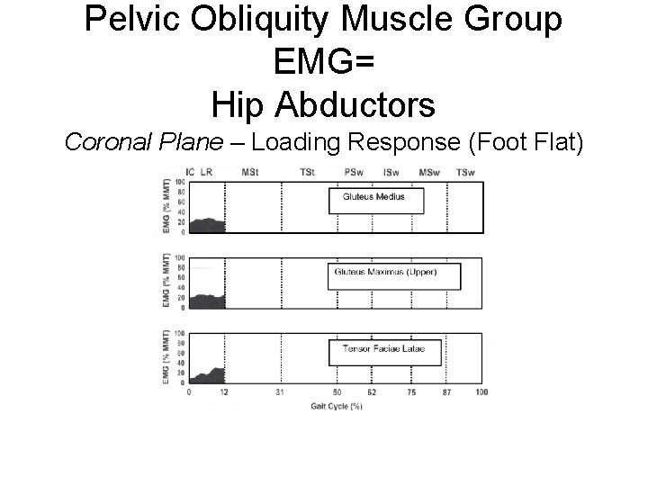 Pelvic Obliquity Muscle Group EMG= Hip Abductors Coronal Plane – Loading Response (Foot Flat)