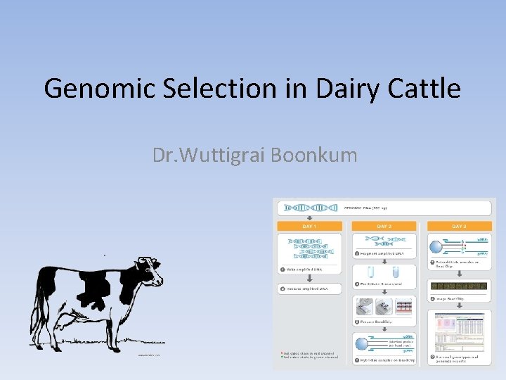 Genomic Selection in Dairy Cattle Dr. Wuttigrai Boonkum 