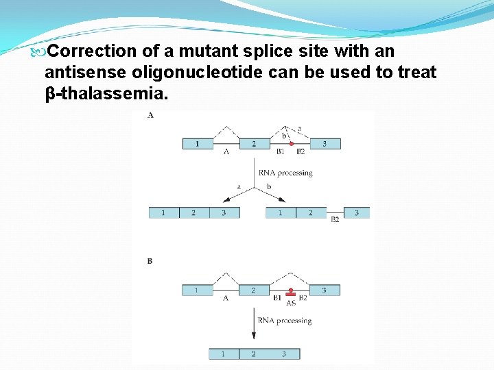 Correction of a mutant splice site with an antisense oligonucleotide can be used