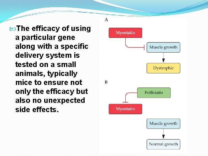  The efficacy of using a particular gene along with a specific delivery system