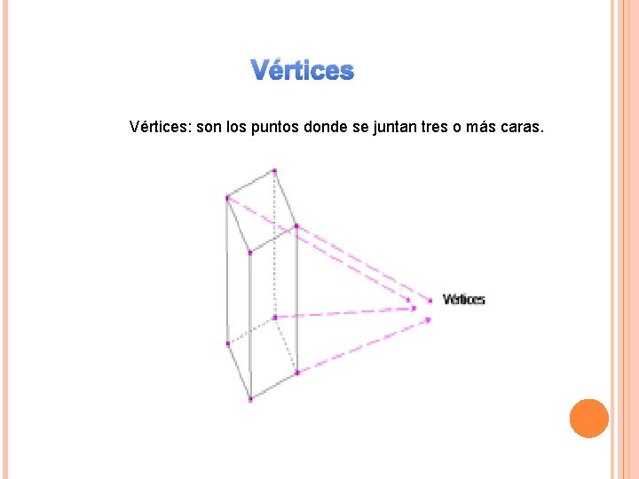 Vértices: son los puntos donde se juntan tres o más caras. 