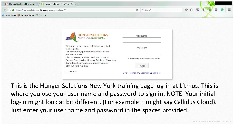 This is the Hunger Solutions New York training page log-in at Litmos. This is