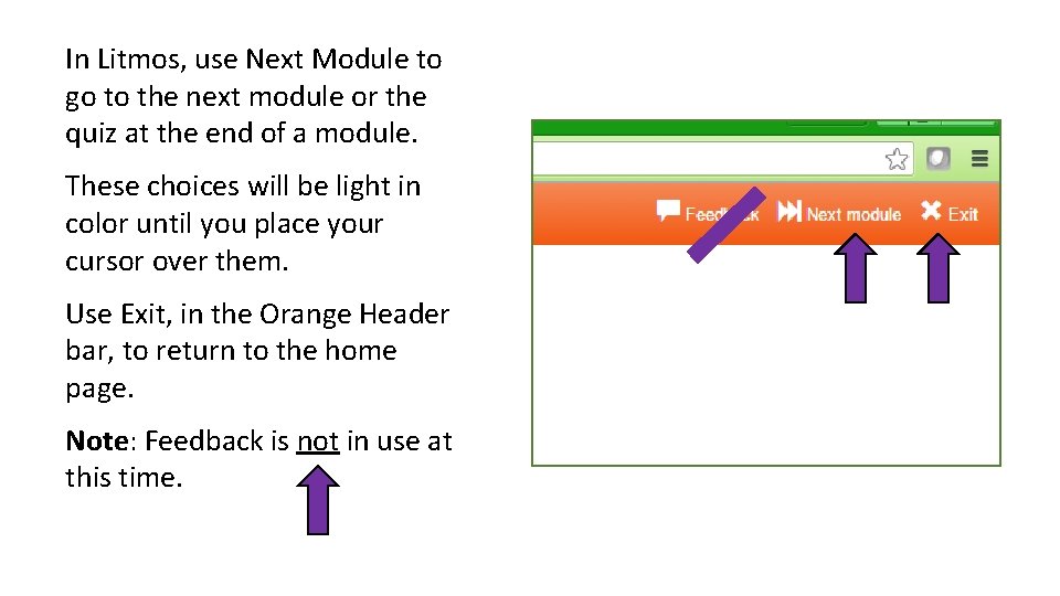 In Litmos, use Next Module to go to the next module or the quiz