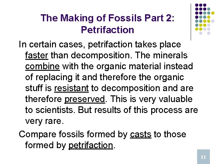 The Making of Fossils Part 2: Petrifaction In certain cases, petrifaction takes place faster The Making of Fossils Part 2: Petrifaction In certain cases, petrifaction takes place faster