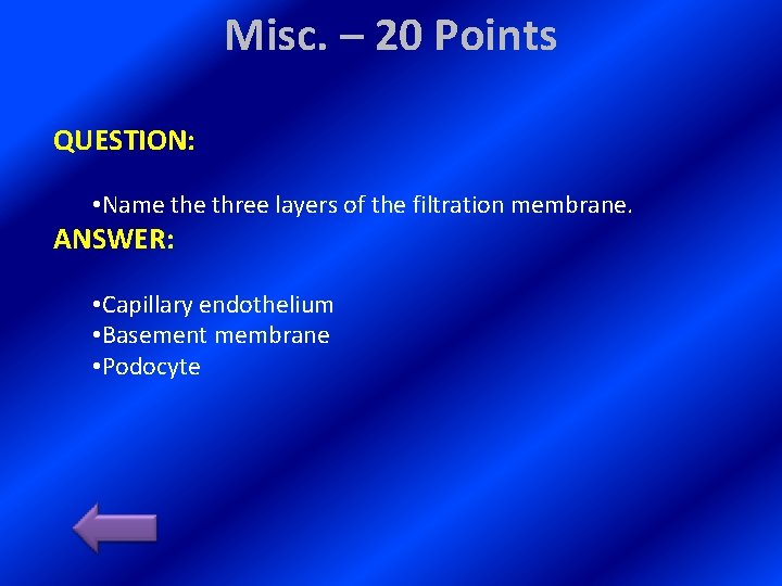 Misc. – 20 Points QUESTION: • Name three layers of the filtration membrane. ANSWER: