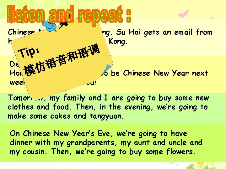 Chinese New Year is coming. Su Hai gets an email from her e-friend Anna