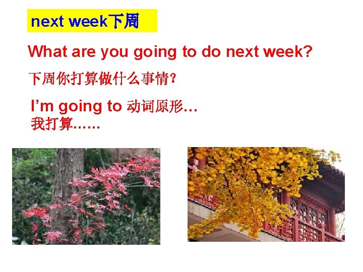 next week下周 What are you going to do next week? 下周你打算做什么事情？ I’m going to