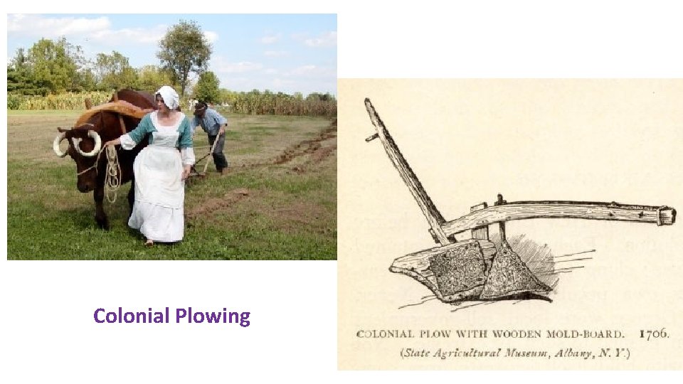 Colonial Plowing 