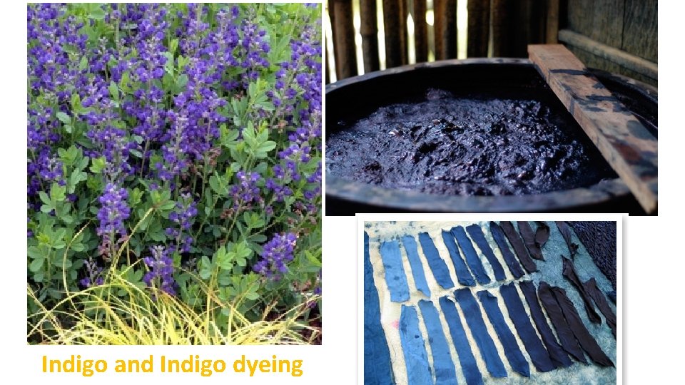 Indigo and Indigo dyeing 