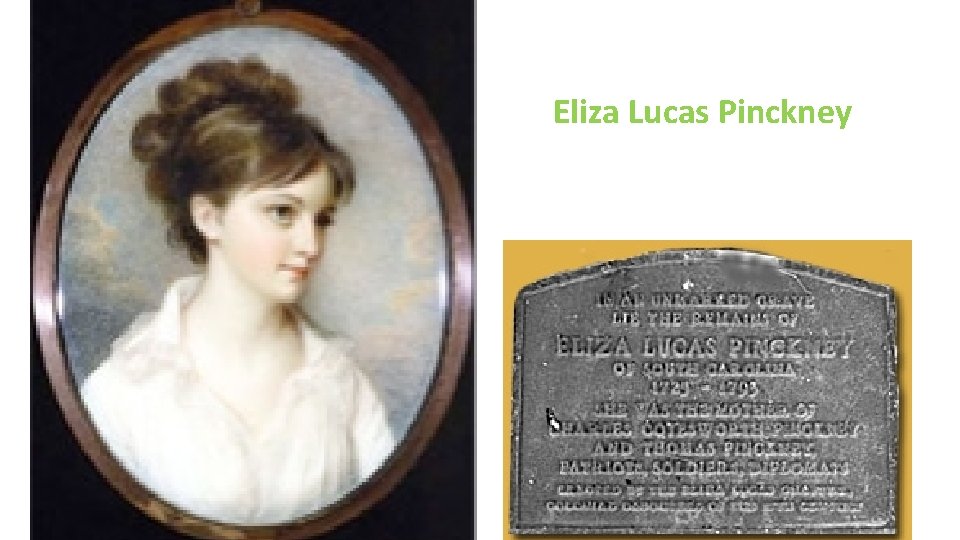 Eliza Lucas Pinckney 
