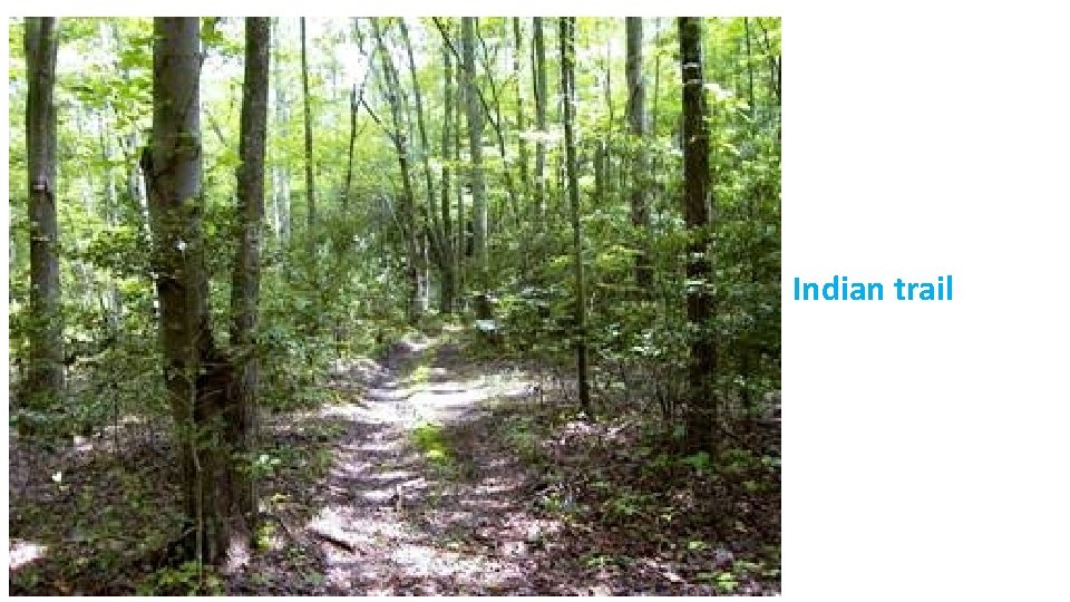 Indian trail 