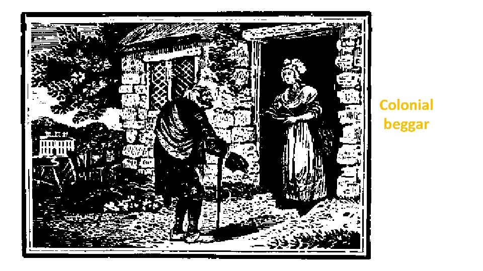 Colonial beggar 
