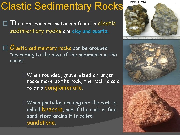 Clastic Sedimentary Rocks � The most common materials found in clastic sedimentary rocks are