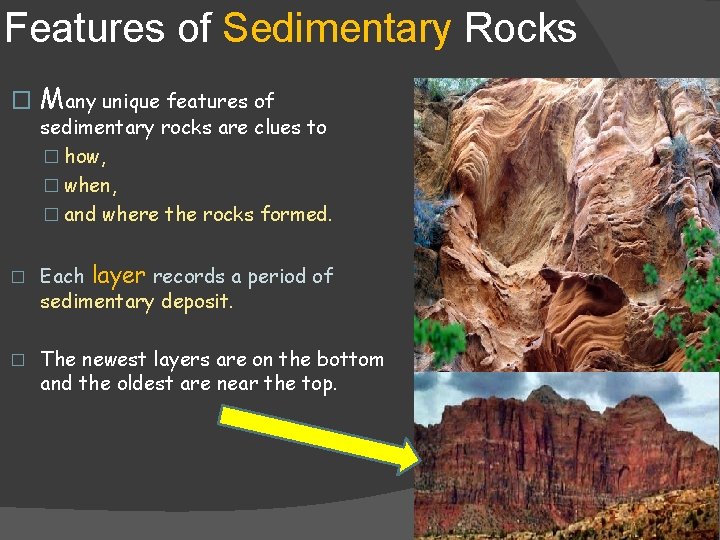 Features of Sedimentary Rocks � Many unique features of sedimentary rocks are clues to