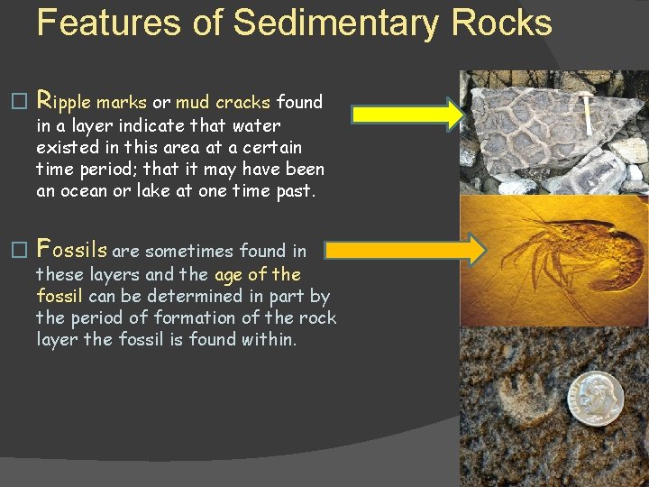 Features of Sedimentary Rocks � Ripple marks or mud cracks found in a layer