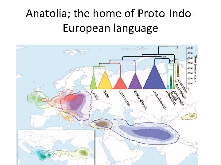 Anatolia; the home of Proto-Indo. European language Anatolia; the home of Proto-Indo. European language