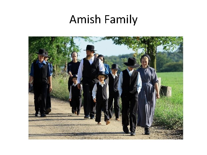 Amish Family Amish Family