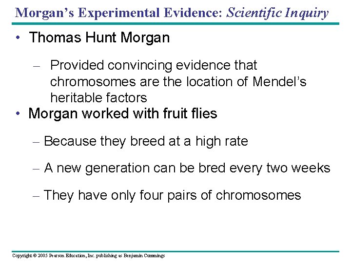 Morgan’s Experimental Evidence: Scientific Inquiry • Thomas Hunt Morgan – Provided convincing evidence that