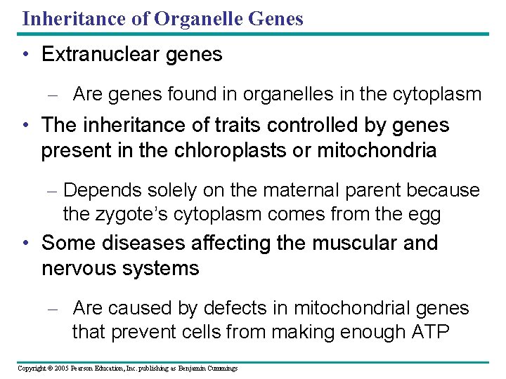 Inheritance of Organelle Genes • Extranuclear genes – Are genes found in organelles in