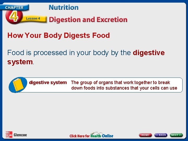 How Your Body Digests Food is processed in your body by the digestive system