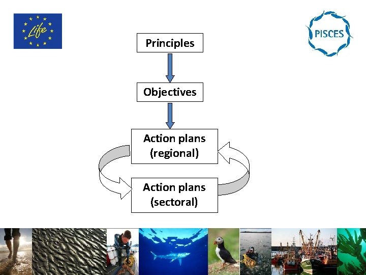 Principles Objectives Action plans (regional) Action plans (sectoral) 