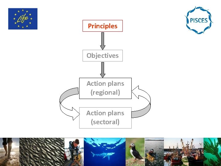 Principles Objectives Action plans (regional) Action plans (sectoral) 