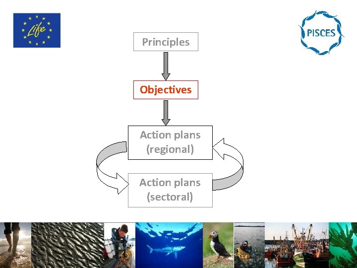 Principles Objectives Action plans (regional) Action plans (sectoral) 