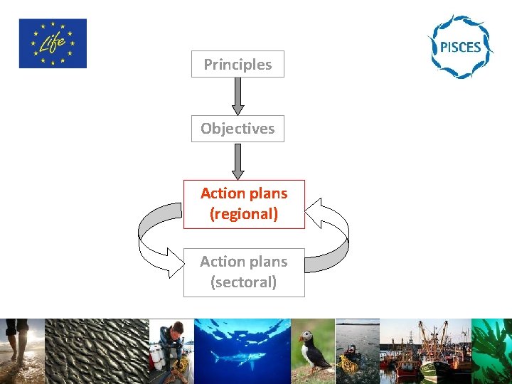 Principles Objectives Action plans (regional) Action plans (sectoral) 