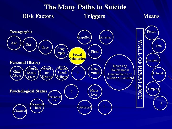 The Many Paths to Suicide Risk Factors Means Triggers Demographic Poison Expelled Sex Race
