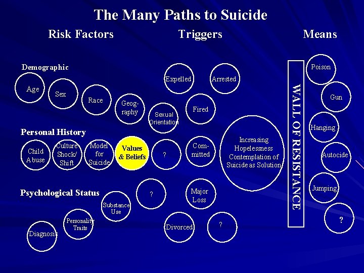 The Many Paths to Suicide Triggers Risk Factors Means Demographic Poison Expelled Sex Race
