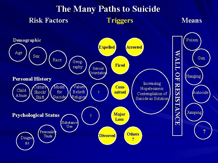 The Many Paths to Suicide Risk Factors Means Triggers Demographic Poison Expelled Sex Race