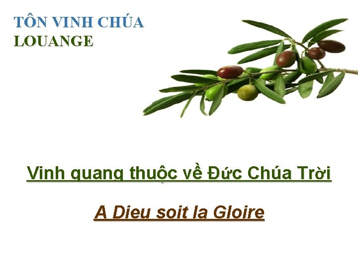 TÔN VINH CHÚA LOUANGE Vinh quang thuộc về Ðức Chúa Trời A Dieu soit