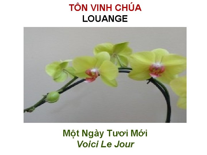 TÔN VINH CHÚA LOUANGE Một Ngày Tươi Mới Voici Le Jour 