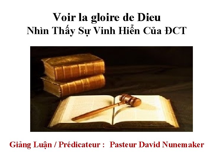 Voir la gloire de Dieu Nhìn Thấy Sự Vinh Hiển Của ÐCT Giảng Luận