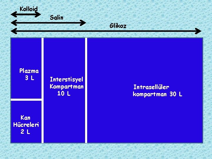 Kolloid Salin Glikoz Plazma 3 L Kan Hücreleri 2 L Interstisyel Kompartman 10 L