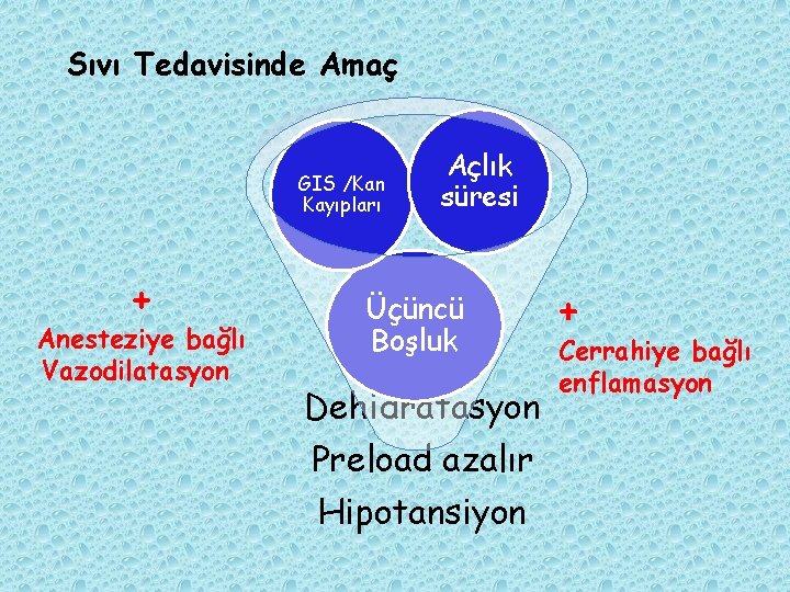 Sıvı Tedavisinde Amaç GIS /Kan Kayıpları + Anesteziye bağlı Vazodilatasyon Açlık süresi Üçüncü Boşluk