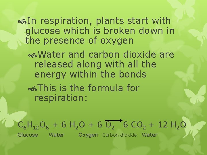  In respiration, plants start with glucose which is broken down in the presence