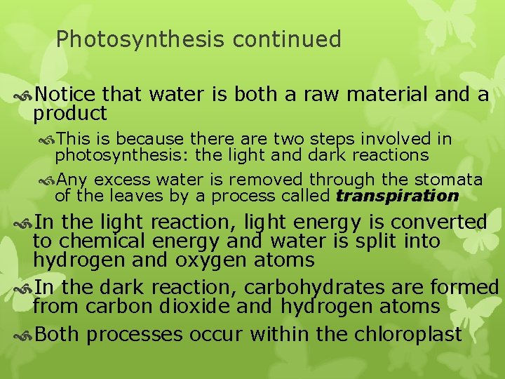 Photosynthesis continued Notice that water is both a raw material and a product This