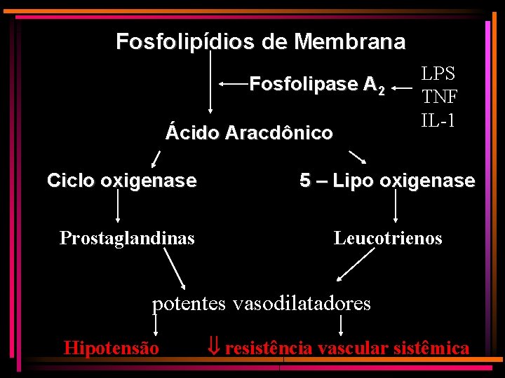Fosfolipídios de Membrana Fosfolipase A 2 Ácido Aracdônico LPS TNF IL-1 Ciclo oxigenase 5