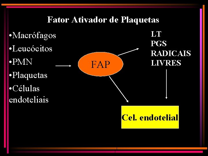 Fator Ativador de Plaquetas • Macrófagos • Leucócitos • PMN • Plaquetas • Células