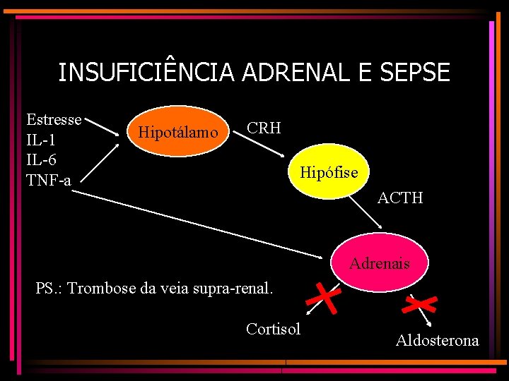 INSUFICIÊNCIA ADRENAL E SEPSE Estresse IL-1 IL-6 TNF-a Hipotálamo CRH Hipófise ACTH Adrenais PS.