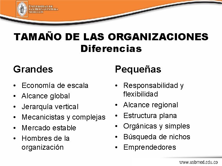 TAMAÑO DE LAS ORGANIZACIONES Diferencias Grandes Pequeñas • • Responsabilidad y flexibilidad • Alcance