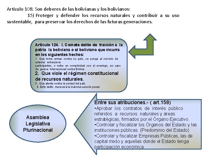 Artículo 108. Son deberes de las bolivianas y los bolivianos: 15) Proteger y defender