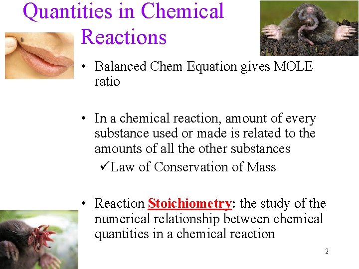 Quantities in Chemical Reactions • Balanced Chem Equation gives MOLE ratio • In a