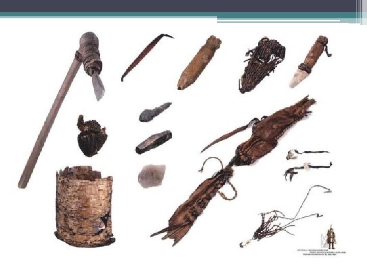 How would these tools help early humans survive? • You have joined a team