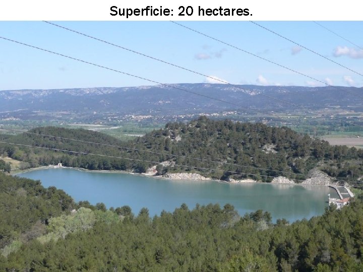 Superficie: 20 hectares. 